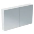 MIRROR & LIGHT Zrkadlová skrinka Basic 120x70x17, T3593AL