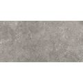 Stoneland Grey 60x120 cm