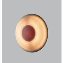 SADLER Osvetlenie, N1157