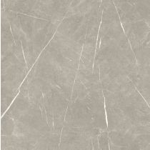 Eternal Taupe Pulido 120x120 cm