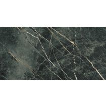 Wacom Moss Pulido 60x120 cm