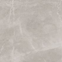 Bayona Silver Pulido 120x120 cm