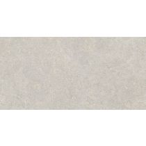 Brunswich Ceniza 60x120 cm