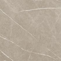 Eternal Taupe Natural 60x60 cm