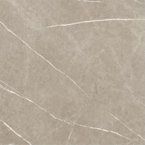 Eternal Taupe Natural 60x60 cm