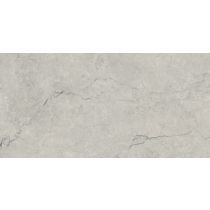 Kronos Silver 60x120 cm