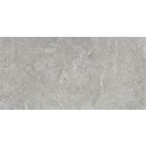 Stoneland Grey 60x120 cm