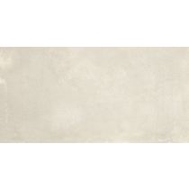 Symphony Ash 60x120 cm