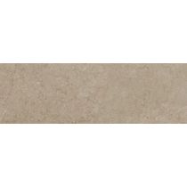 Concrete Noce 20x50 cm