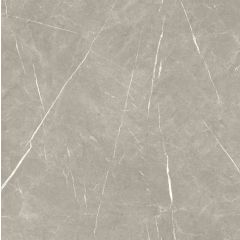 Eternal Taupe Pulido 120x120 cm