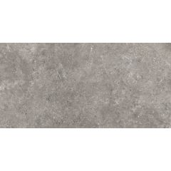 Stoneland Grey 60x120 cm