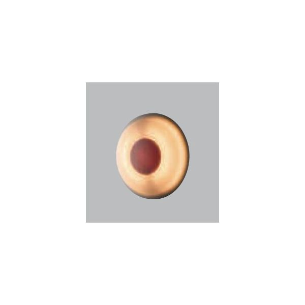 SADLER Osvetlenie, N1157