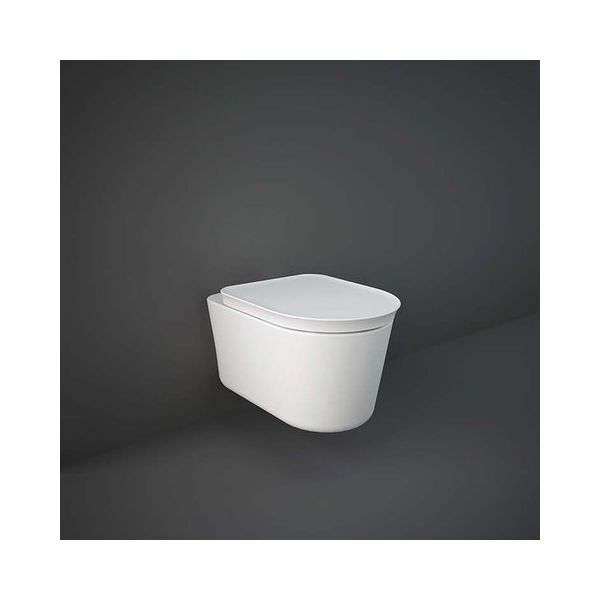 RAK VALET WC Sedadlo SOFT, VALSC390.500