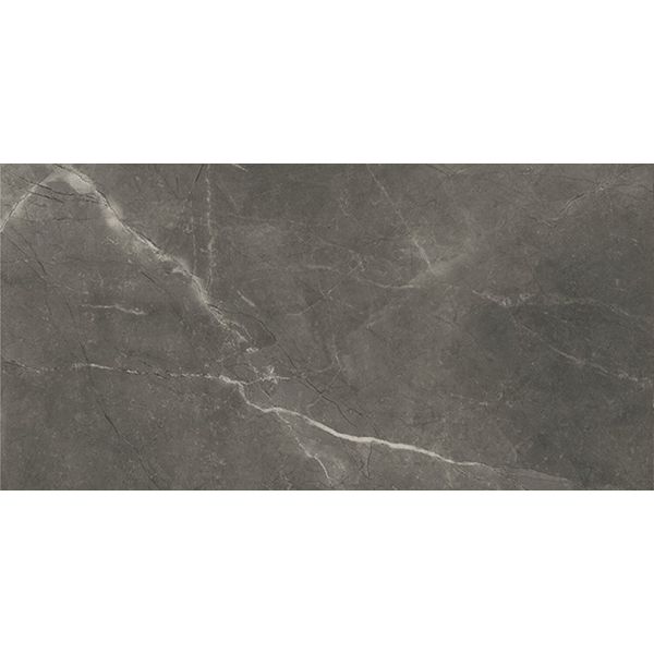 Bayona Grey Pulido 60x120 cm