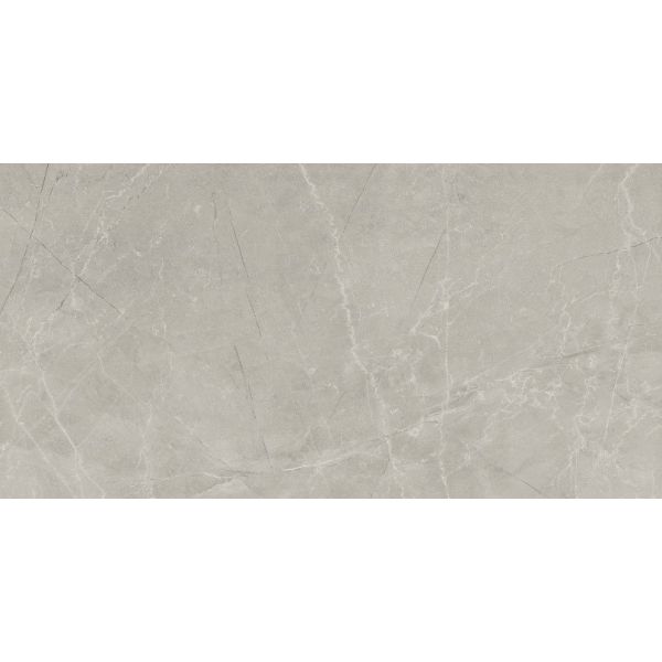 Bayona Silver Pulido 60x120 cm