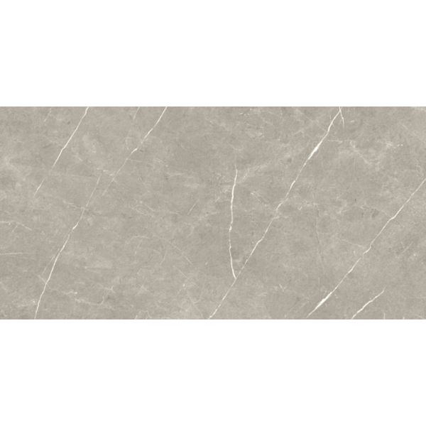 Eternal Taupe Pulido 60x120 cm