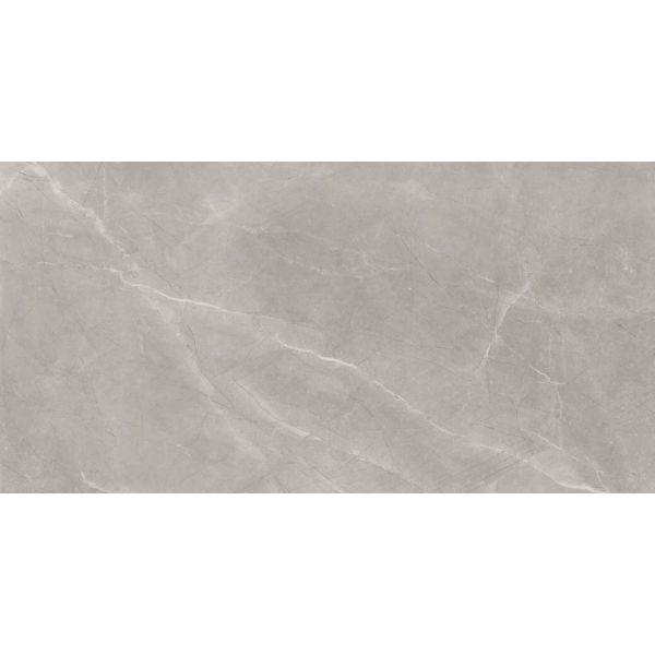 Bayona Silver Pulido 120x240 cm