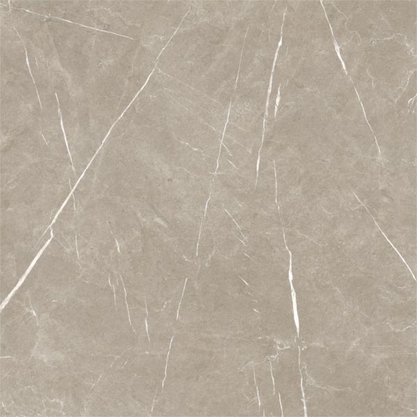 Eternal Taupe Pulido 120x120 cm