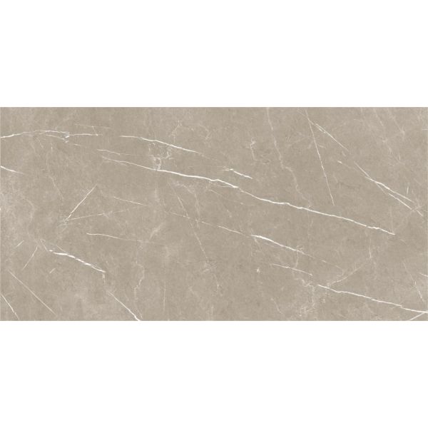 Eternal Taupe Pulido 60x120 cm