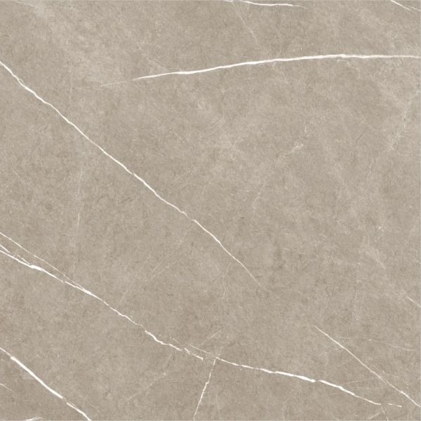 Eternal Taupe Natural 60x60 cm