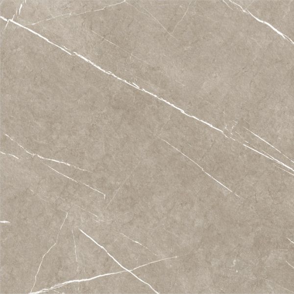 Eternal Taupe Natural 60x60 cm
