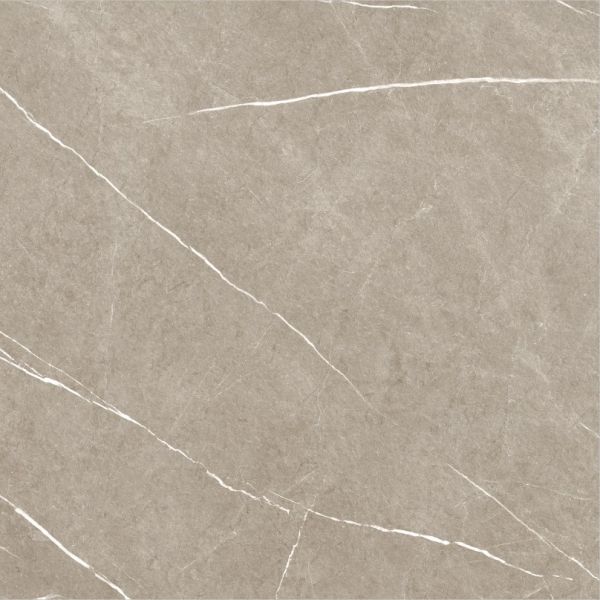 Eternal Taupe Natural 60x60 cm