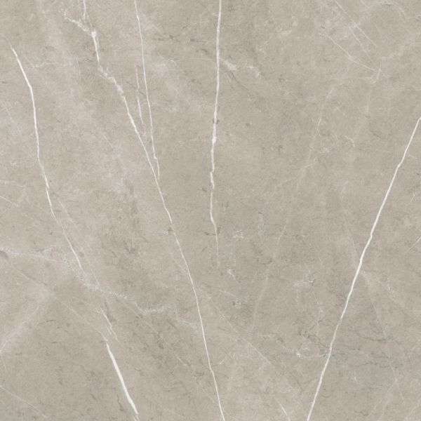 Eternal Taupe Pulido 80x80 cm